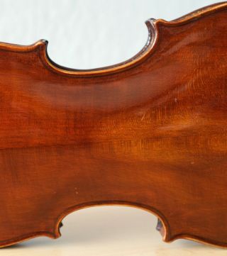 old violin 4/4 geige viola cello fiddle label CARLO ANTONIO TESTORE 9