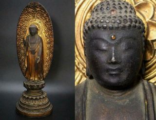 Wb70 Japanese Wooden Amitabha Statues Amida Nyorai Buddhism Buddha Halo