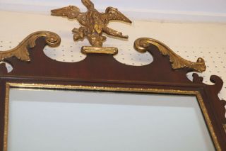 Gorgeous Solid Mahogany England 1890s Eagle Federal Mirror 8