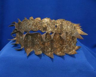 Antique Spiked Iron Dog Collar Wolfe Protection