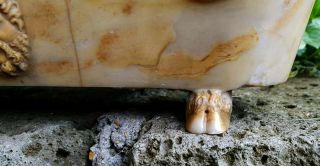 Antique Grand Tour Roman Bath with Satyr Sienna Marble Pietra Dura Miniature 8