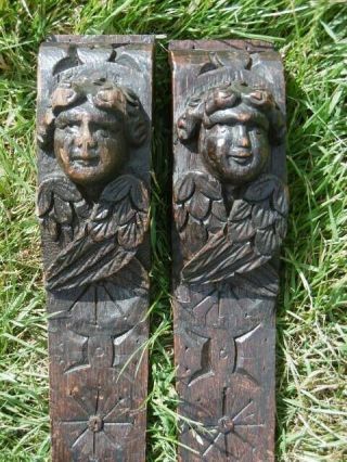 Pr 18thc Gothic Oak Carved Winged Cherub Corbels