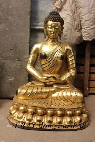 32 " Tibet Buddhism Bronze Gilt Sit Lotus Shakyamuni Sakyamuni Amitabha Buddha St