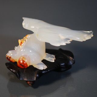 Qing To Republic Agate Fish With Stand.  Special Listing For Buyer B A