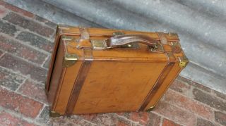 Magnificent Antique English Thick Oak Lined Cartridge Case 4