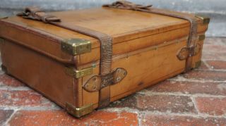 Magnificent Antique English Thick Oak Lined Cartridge Case 8