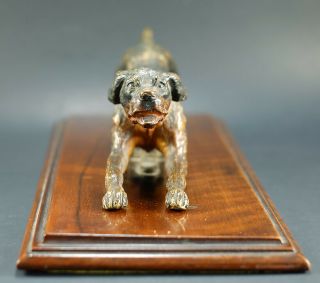 Very Rare Antique German Desk Paper Holder Jumping Dog Cold Painted Bronze 1800s 3
