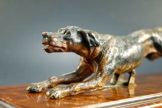 Very Rare Antique German Desk Paper Holder Jumping Dog Cold Painted Bronze 1800s 5