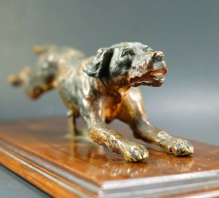 Very Rare Antique German Desk Paper Holder Jumping Dog Cold Painted Bronze 1800s 8