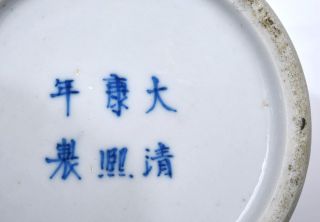 2 Late 19th Century Chinese Blue & White Porcelain Vase Flower & Bird Marked 11