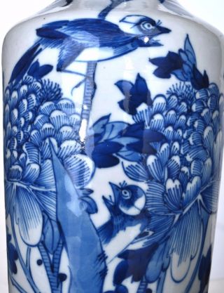 2 Late 19th Century Chinese Blue & White Porcelain Vase Flower & Bird Marked 6