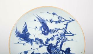 Antique Chinese Underglaze Blue Decorated Porcelain Plate 2