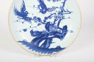 Antique Chinese Underglaze Blue Decorated Porcelain Plate 3
