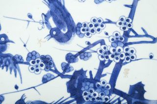 Antique Chinese Underglaze Blue Decorated Porcelain Plate 5