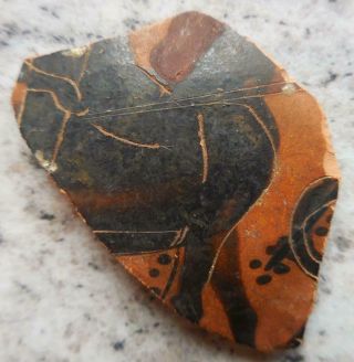 Fine Ancient Greek Painted Pottery Fragment With Horse/rider 500bc Found France