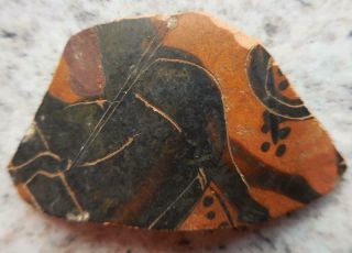 FINE ANCIENT GREEK PAINTED POTTERY FRAGMENT WITH HORSE/RIDER 500BC FOUND FRANCE 4