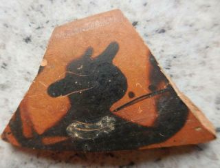 Fine Ancient Greek Painted Pottery Fragment With Animal 500bc Found France