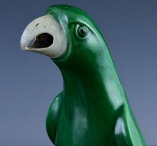 GREAT CHINESE KANGXI FAMILLE VERTE GREEN GLAZE BISCUIT PORCELAIN PARROT FIGURE 6