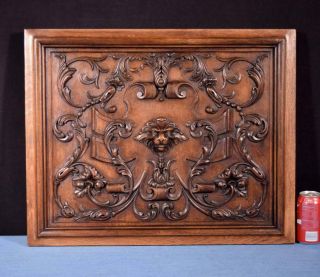 Antique French Panel In Solid Oak Wood With Lion Face Highly Carved