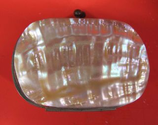 Antique Natural Mother Pearl/abalone Shell Clutch/coin Purse Wow 2 Yqz