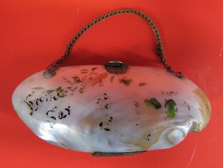 Antique Natural Mother Pearl/abalone Shell Clutch/coin Purse Insides Wow 1 Yqz