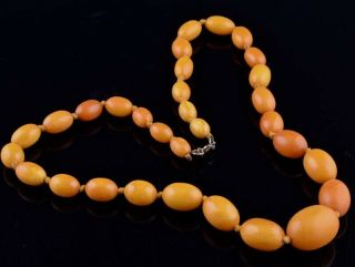 Fine Antique Chinese Natural Butterscotch Egg Yolk Amber Graduated Bead Necklace