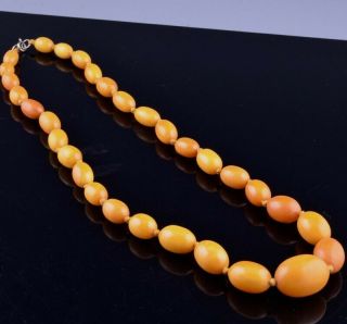 FINE ANTIQUE CHINESE NATURAL BUTTERSCOTCH EGG YOLK AMBER GRADUATED BEAD NECKLACE 2