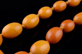 FINE ANTIQUE CHINESE NATURAL BUTTERSCOTCH EGG YOLK AMBER GRADUATED BEAD NECKLACE 4
