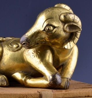 CHINESE GOLD GILT BRONZE RAM FIGURE SCROLL WEIGHT MING QING DYNASTY 5
