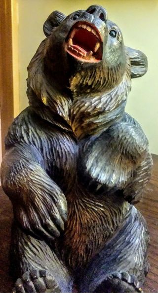 antique large Swiss Black Forest Hand Carved Bear 9 - 1/2in. 3