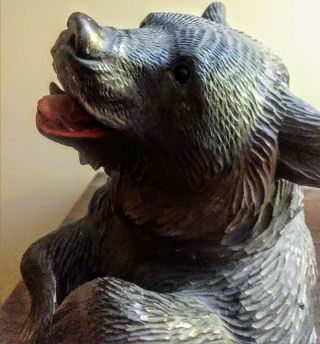 antique large Swiss Black Forest Hand Carved Bear 9 - 1/2in. 6