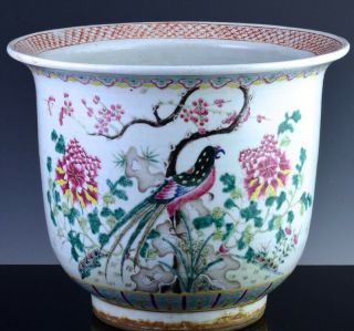 FINE c1880 CHINESE FAMILLE ROSE PRECIOUS OBJECT PARROT BIRD SCENIC PLANTER VASE 3