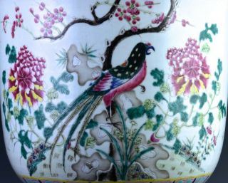 FINE c1880 CHINESE FAMILLE ROSE PRECIOUS OBJECT PARROT BIRD SCENIC PLANTER VASE 9