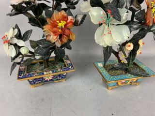 20th C.  Chinese Two Jade Agate and Serpentine Flowering Bonsai Tree in Cloisonné 3