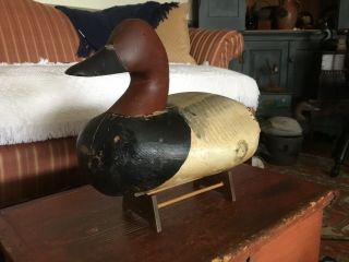 ANTIQUE VINTAGE UPPER CHESAPEAKE BAY CANVASBACK DRAKE DECOY 2