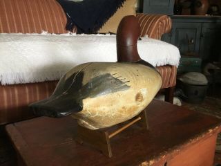 ANTIQUE VINTAGE UPPER CHESAPEAKE BAY CANVASBACK DRAKE DECOY 6