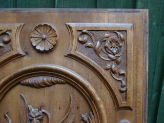Carved Panel Baroque Grotesque 19th Century Walnut Panel Harpy Gryphon 10