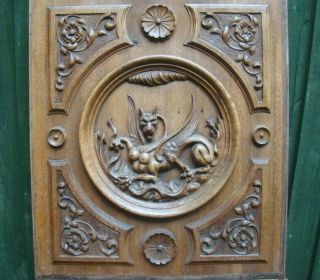 Carved Panel Baroque Grotesque 19th Century Walnut Panel Harpy Gryphon
