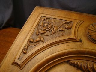 Carved Panel Baroque Grotesque 19th Century Walnut Panel Harpy Gryphon 4