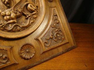 Carved Panel Baroque Grotesque 19th Century Walnut Panel Harpy Gryphon 6