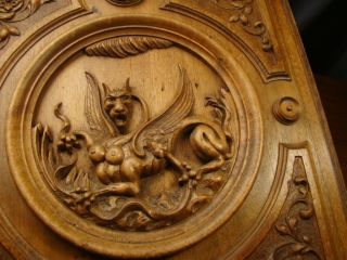 Carved Panel Baroque Grotesque 19th Century Walnut Panel Harpy Gryphon 7
