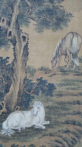 Pair Antique Chinese Qing Dynasty Scroll Paintings Horses Style of Lang Shining 4