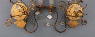 Antique Maison Bagues French Gilt Brass & Cut Crystal Parrot Lamp Sconces 12