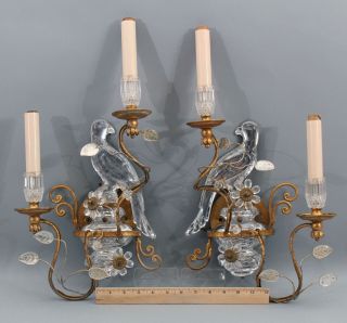 Antique Maison Bagues French Gilt Brass & Cut Crystal Parrot Lamp Sconces