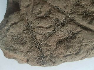 Museum Quality Huge Fragment of Neolithic Stone Carving 5000 BC 4