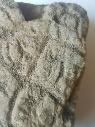 Museum Quality Huge Fragment of Neolithic Stone Carving 5000 BC 6