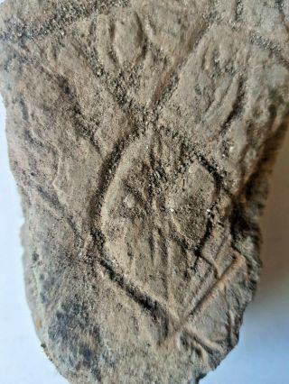 Museum Quality Huge Fragment of Neolithic Stone Carving 5000 BC 7