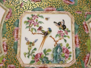 FINE QUALITY LARGE CHINESE 19TH CENTURY FAMILLE ROSE PLATE DISH 5