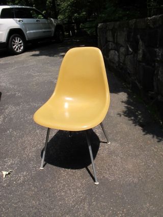 Vintage Herman Miller Ochre Light Mid - Century Modern Fiberglass Dsx Shell Chair