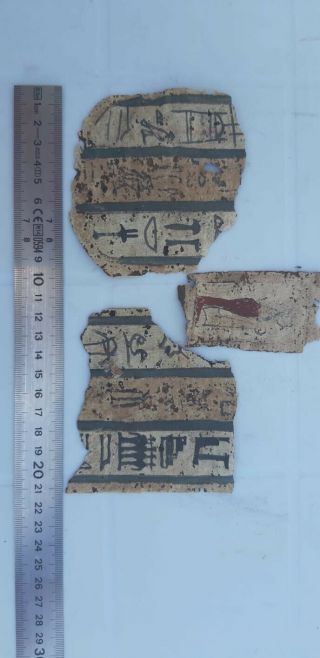 An Egyptian Pharaonic Cartonagge Fragments 11